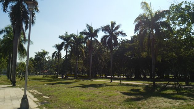 大東公園（旧中正公園）内の木々